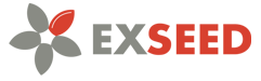 Exseed – Cursos & Certificações